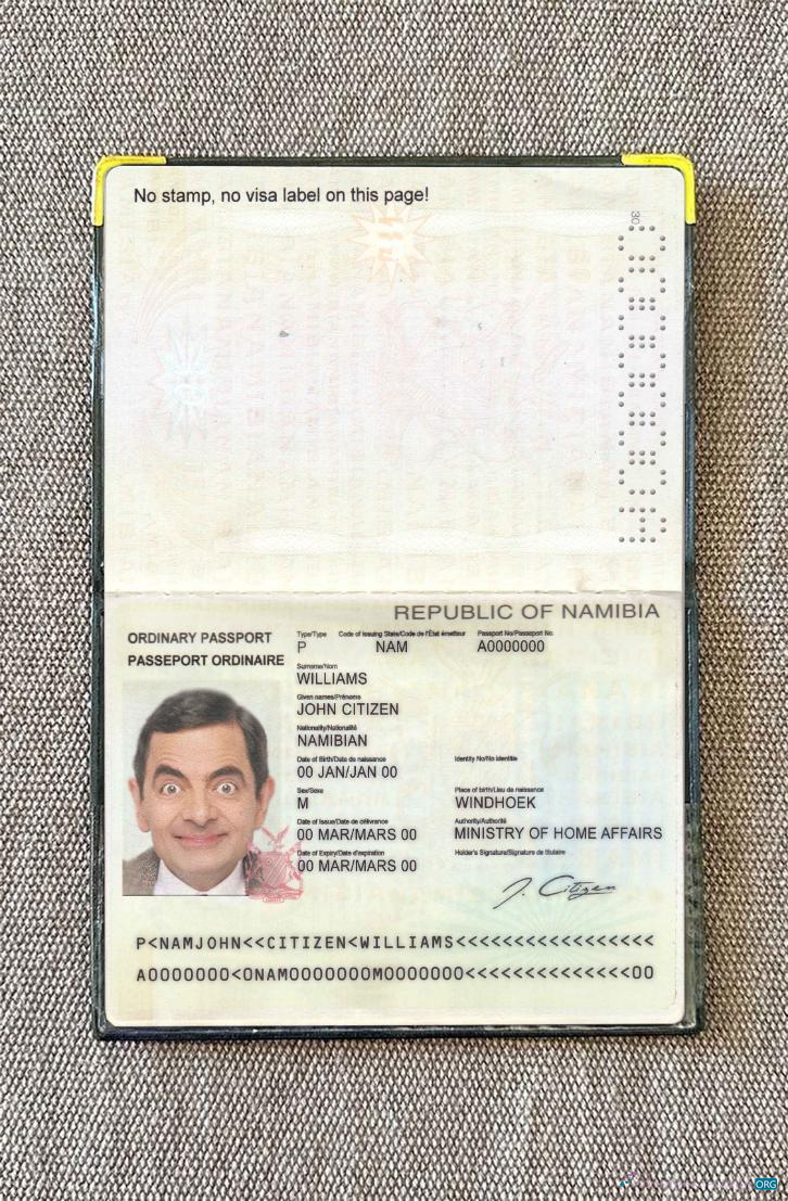 Download Namibia pass photo look Photoshop template